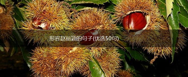形容赵丽颖的句子(优选50句),第1张