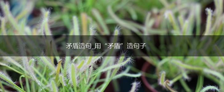 矛盾造句_用“矛盾”造句子,第1张 矛盾造句_用“矛盾”造句子,第1张