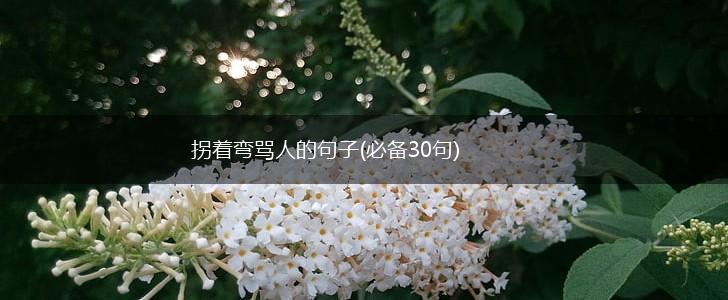 拐着弯骂人的句子(必备30句),第1张