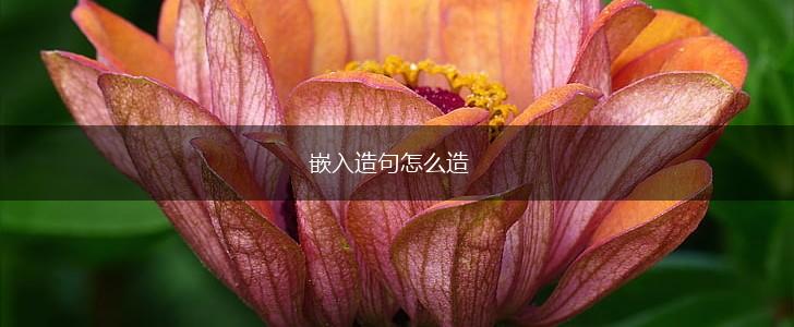 嵌入造句怎么造,第1张 嵌入造句怎么造,第1张