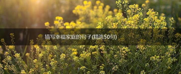 描写幸福家庭的句子(精选50句),第1张