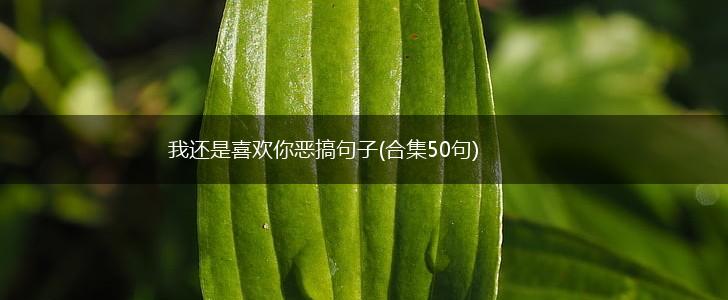 我还是喜欢你恶搞句子(合集50句),第1张