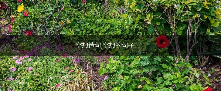 空想造句,空想的句子,第1张 空想造句,空想的句子,第1张