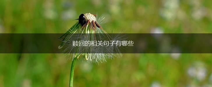 赎回的相关句子有哪些,第1张 赎回的相关句子有哪些,第1张