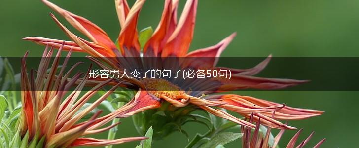 形容男人变了的句子(必备50句),第1张