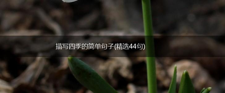 描写四季的简单句子(精选44句),第1张