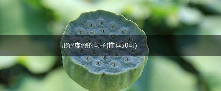 形容虚假的句子(推荐50句),第1张