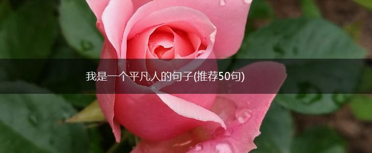 我是一个平凡人的句子(推荐50句),第1张