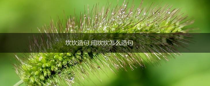 坎坎造句,用坎坎怎么造句,第1张 坎坎造句,用坎坎怎么造句,第1张
