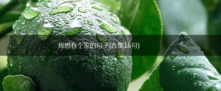 我想有个家的句子(合集16句),第1张