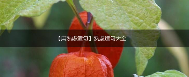 【用熟虑造句】熟虑造句大全,第1张 【用熟虑造句】熟虑造句大全,第1张