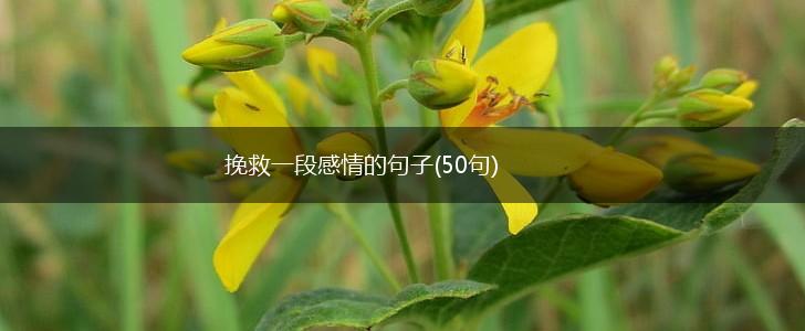 挽救一段感情的句子(50句),第1张