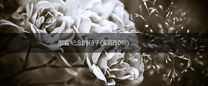 形容纪念的句子(实用50句),第1张