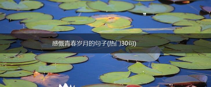 感慨青春岁月的句子(热门30句),第1张