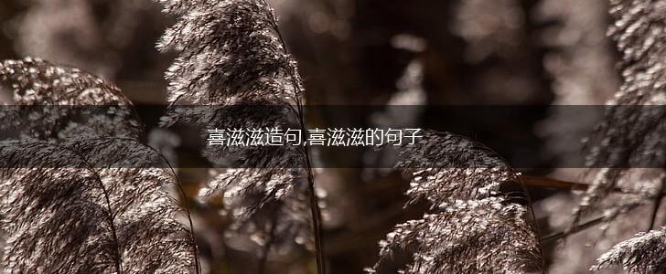 喜滋滋造句,喜滋滋的句子,第1张 喜滋滋造句,喜滋滋的句子,第1张