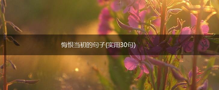 悔恨当初的句子(实用30句),第1张