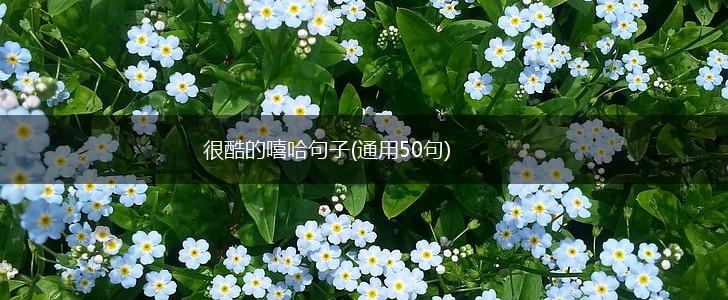 很酷的嘻哈句子(通用50句),第1张
