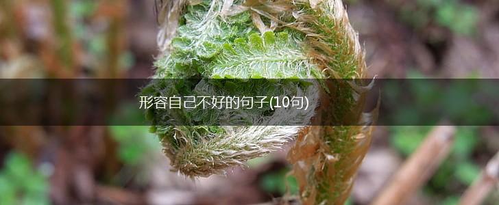 形容自己不好的句子(10句),第1张