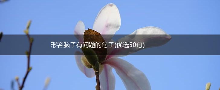 形容脑子有问题的句子(优选50句),第1张