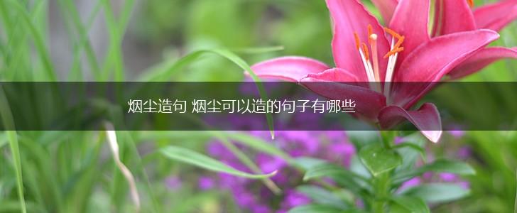 烟尘造句 烟尘可以造的句子有哪些,第1张 烟尘造句 烟尘可以造的句子有哪些,第1张