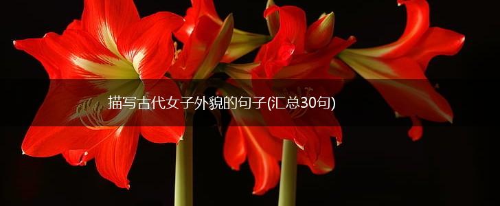 描写古代女子外貌的句子(汇总30句),第1张