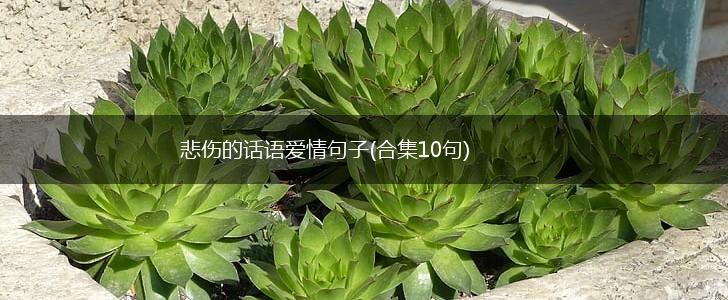 悲伤的话语爱情句子(合集10句),第1张
