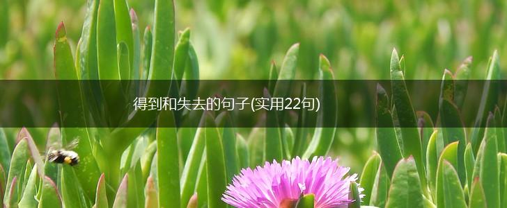 得到和失去的句子(实用22句),第1张