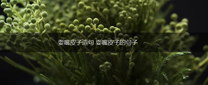 耍嘴皮子造句 耍嘴皮子的句子,第1张