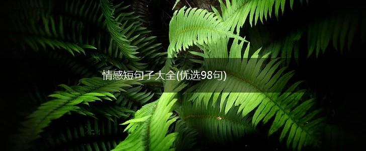 情感短句子大全(优选98句),第1张