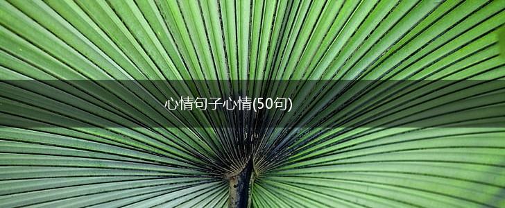 心情句子心情(50句),第1张