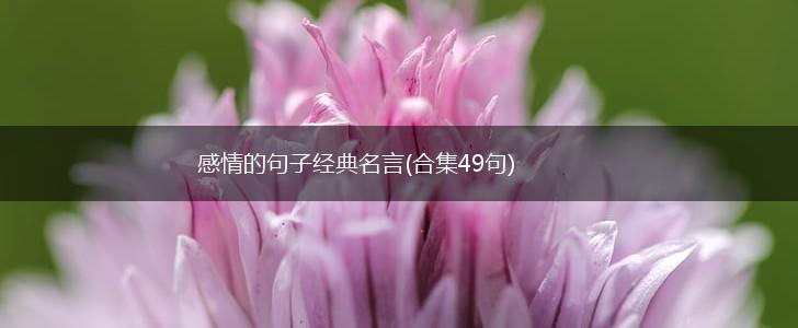 感情的句子经典名言(合集49句),第1张