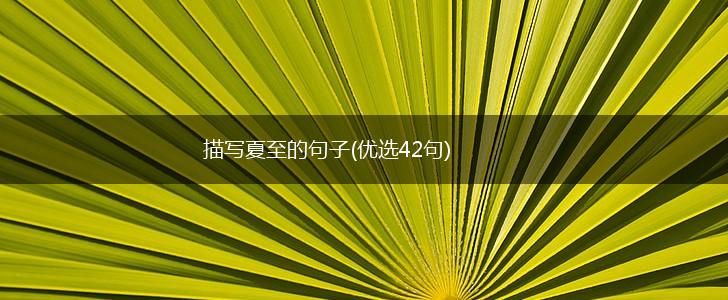 描写夏至的句子(优选42句),第1张
