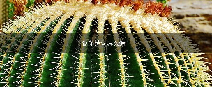 锯条造句怎么造,第1张 锯条造句怎么造,第1张