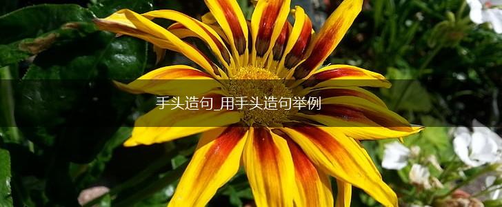 手头造句_用手头造句举例,第1张 手头造句_用手头造句举例,第1张