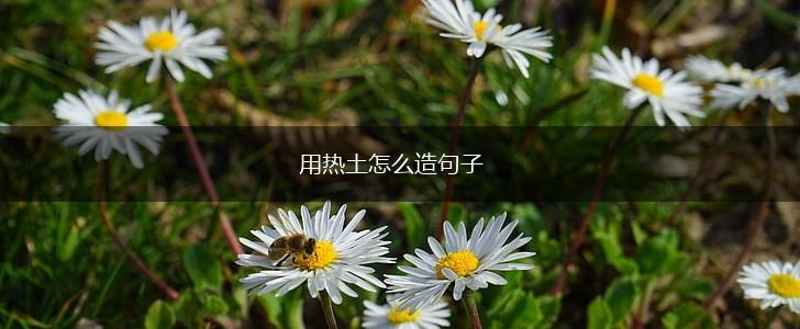 用热土怎么造句子,第1张 用热土怎么造句子,第1张