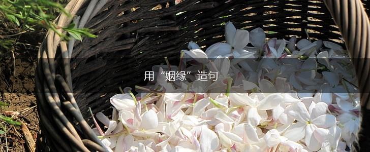 用“姻缘”造句,第1张 用“姻缘”造句,第1张