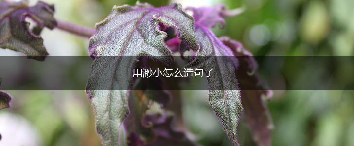用渺小怎么造句子,第1张