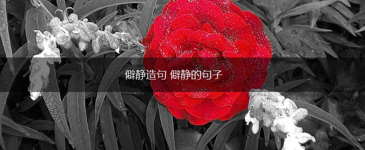 僻静造句 僻静的句子,第1张 僻静造句 僻静的句子,第1张