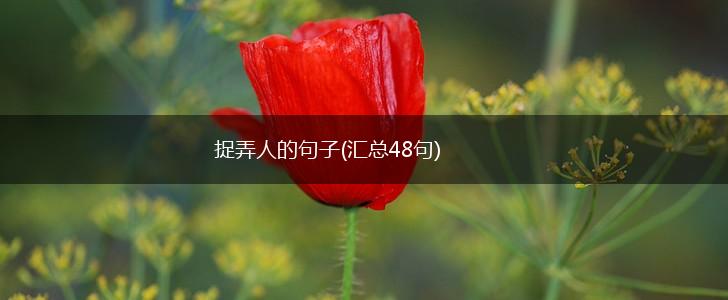 捉弄人的句子(汇总48句),第1张