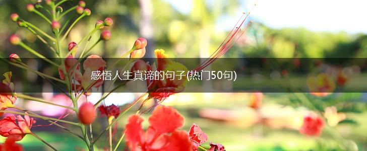 感悟人生真谛的句子(热门50句),第1张