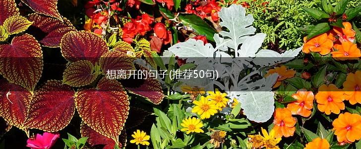 想离开的句子(推荐50句),第1张
