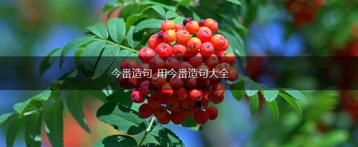 今番造句_用今番造句大全,第1张 今番造句_用今番造句大全,第1张