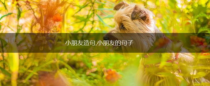 小朋友造句,小朋友的句子,第1张 小朋友造句,小朋友的句子,第1张