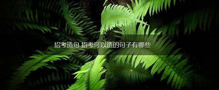 招考造句 招考可以造的句子有哪些,第1张 招考造句 招考可以造的句子有哪些,第1张
