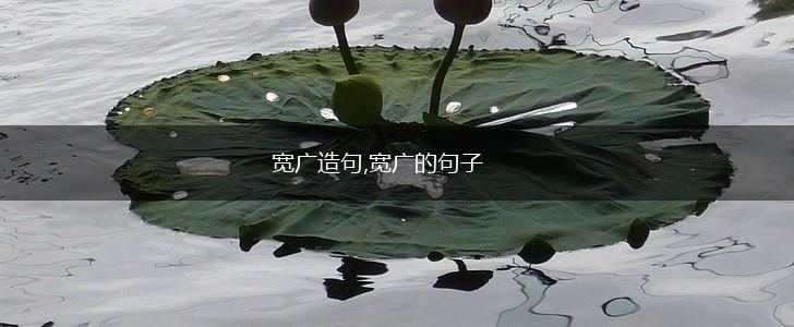 宽广造句,宽广的句子,第1张 宽广造句,宽广的句子,第1张