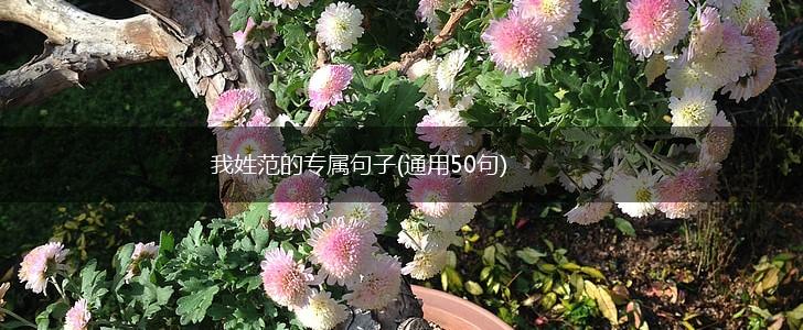 我姓范的专属句子(通用50句),第1张