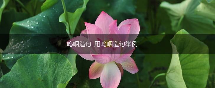 呜咽造句_用呜咽造句举例,第1张 呜咽造句_用呜咽造句举例,第1张