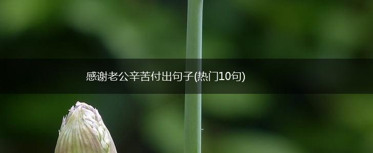 感谢老公辛苦付出句子(热门10句),第1张