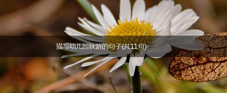 描写幼儿园秋游的句子(共11句),第1张