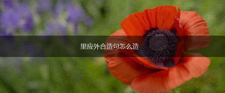 里应外合造句怎么造,第1张 里应外合造句怎么造,第1张